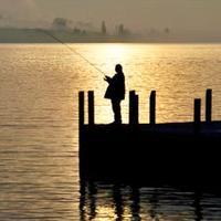 Fische fangen